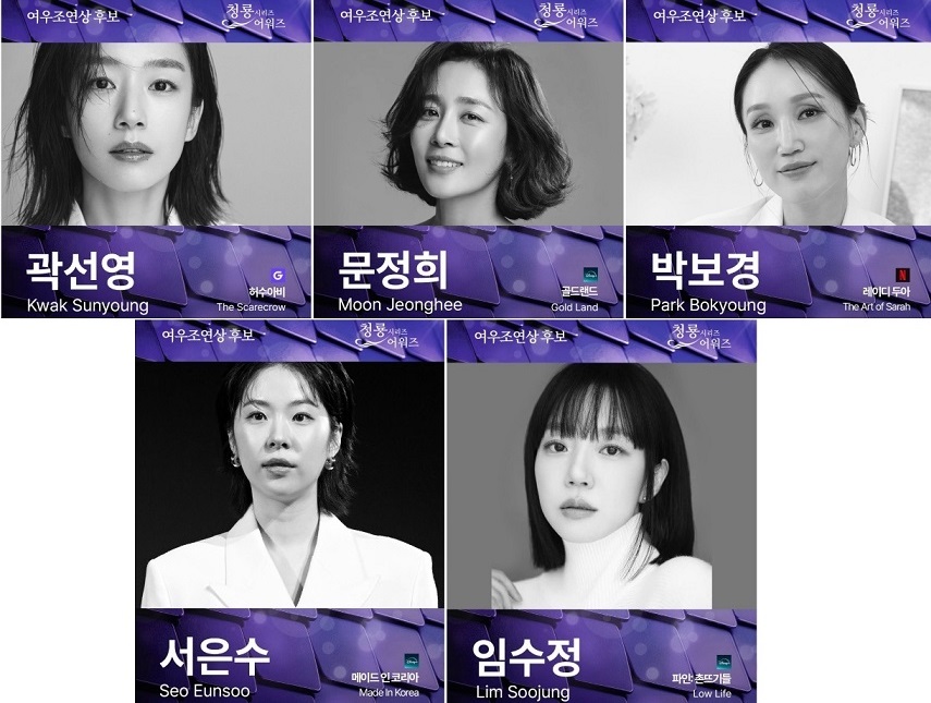 نامزدهای پنجمین دوره جوایز بلودراگون 2026 Blue Dragon Series Awards 2026